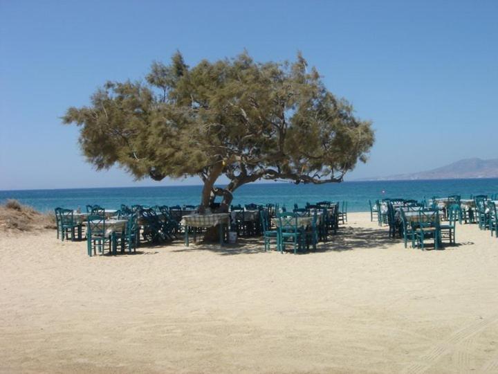Villa Harmony Agia Anna  外观 照片